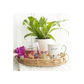 Wildflower Ceramic Plant Pot
