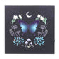 Midnight Moth Light Up Canvas Plaque